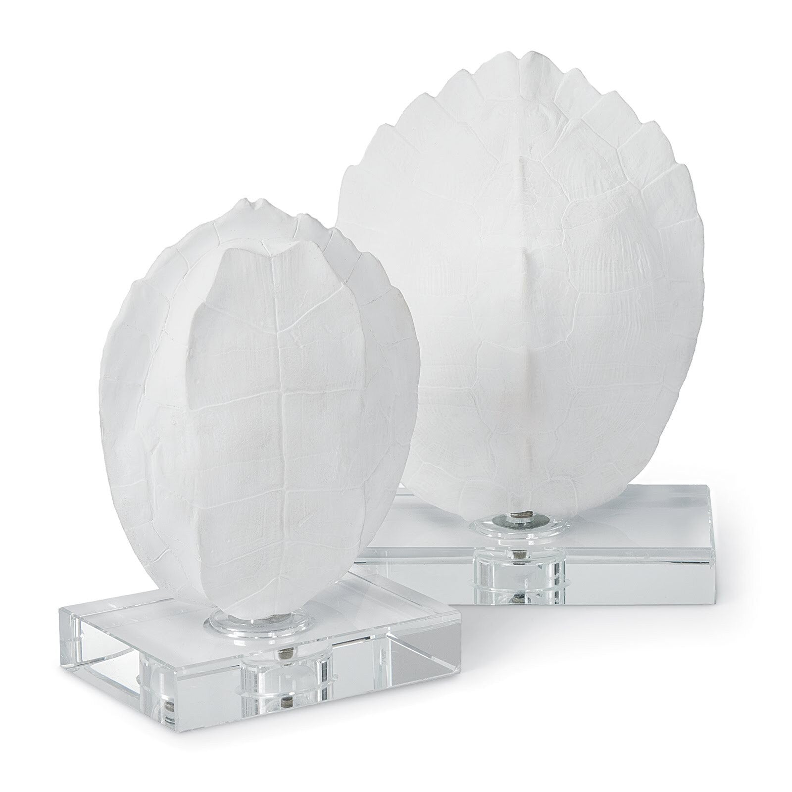 TURTLE SHELLS ON CRYSTAL (SET OF 2)