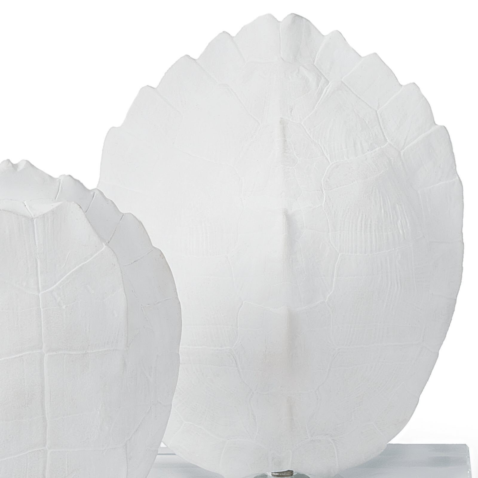 TURTLE SHELLS ON CRYSTAL (SET OF 2)