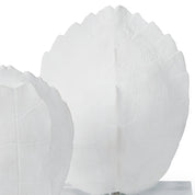 TURTLE SHELLS ON CRYSTAL (SET OF 2)