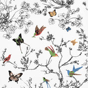 BIRDS & BUTTERFLIES