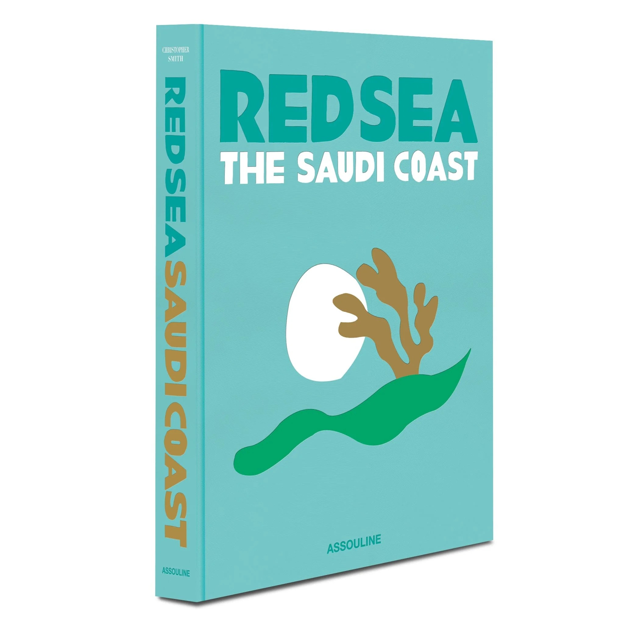 SAUDI ARABIA: RED SEA, THE SAUDI COAST