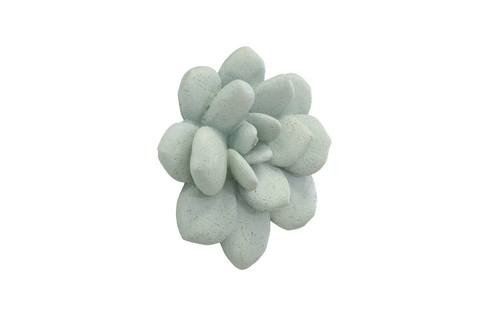 LAUI SUCCULENT WALL ART SAGE